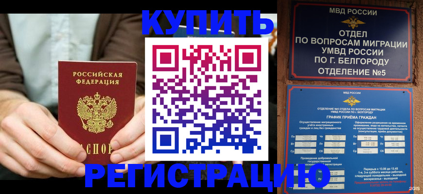 прописка 2025 в Кузнецке